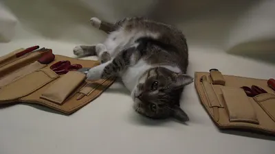 POL-KAL Pracownia Kaletnicza - Joanna Reimann